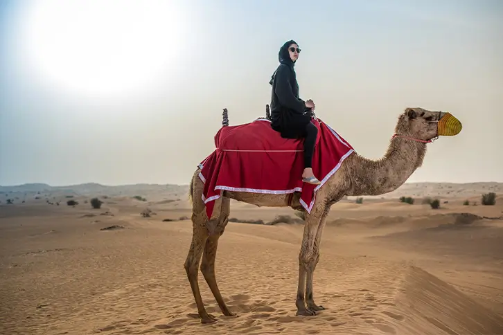 Morning Desert Safari – Private & Peaceful